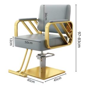 BFSC01  Barber Chair