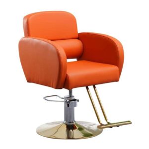 BFSC23  Barber Chair