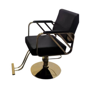 BFSC24  Barber Chair