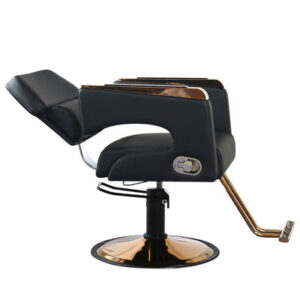 BFSC29  Barber Chair